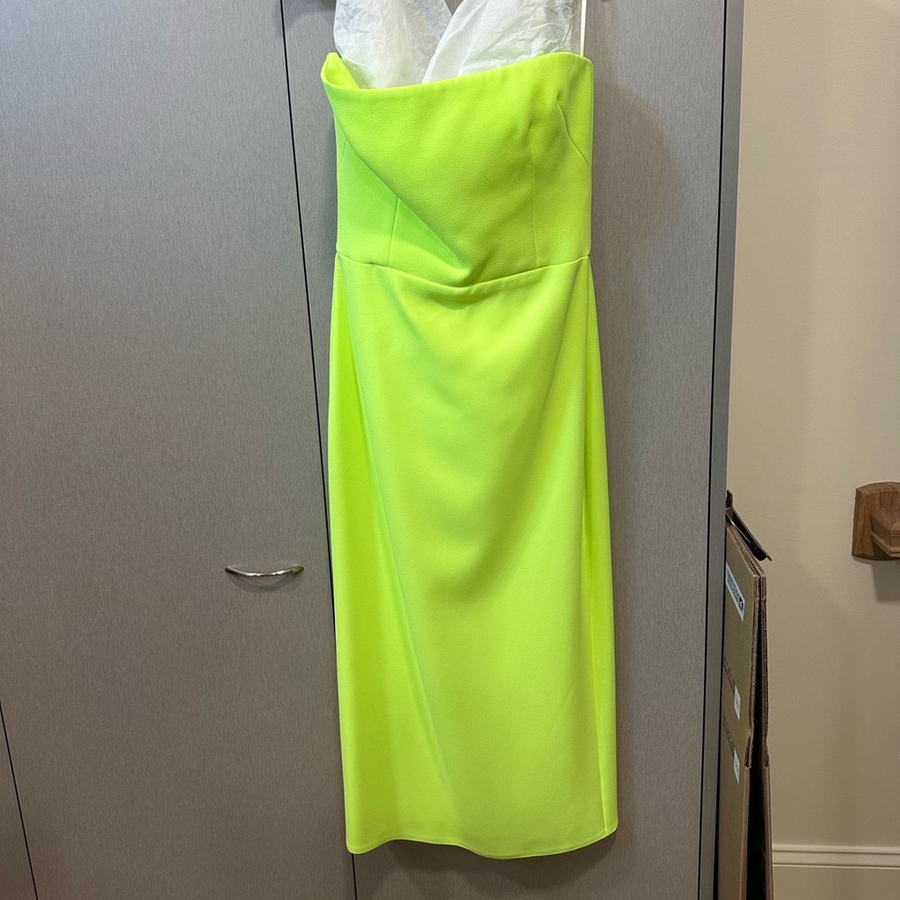 Alex Perry dress